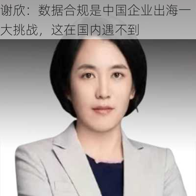 谢欣：数据合规是中国企业出海一大挑战，这在国内遇不到