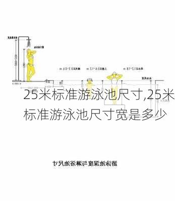 25米标准游泳池尺寸,25米标准游泳池尺寸宽是多少