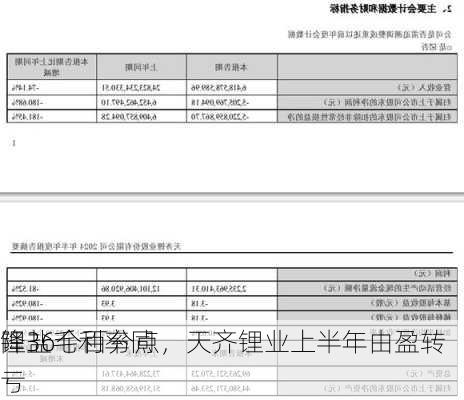 锂盐毛利率同
降36个百分点，天齐锂业上半年由盈转亏