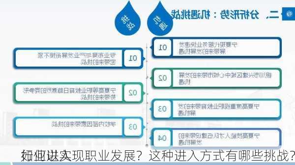 如何进入
行业以实现职业发展？这种进入方式有哪些挑战？