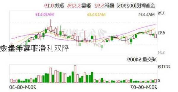 金逸
上半年营收净利双降 
数量持续下滑