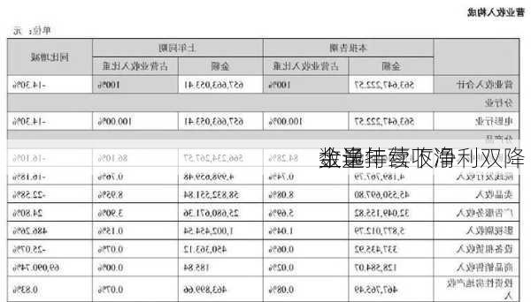 金逸
上半年营收净利双降 
数量持续下滑