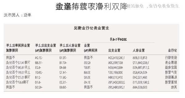 金逸
上半年营收净利双降 
数量持续下滑