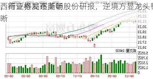 西南证券发布美畅股份研报，逆境方显龙头韧
，行业格局逐渐明晰