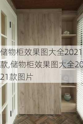 储物柜效果图大全2021款,储物柜效果图大全2021款图片