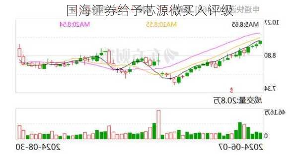 国海证券给予芯源微买入评级