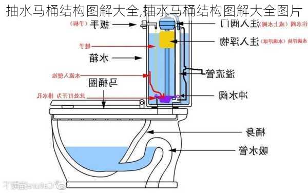 抽水马桶结构图解大全,抽水马桶结构图解大全图片