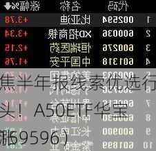 聚焦半年报线索优选行业龙头！A50ETF华宝（159596）
上涨