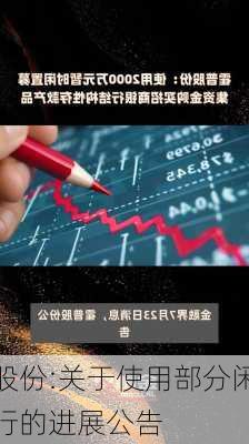 霍普股份:关于使用部分闲置募
金进行的进展公告