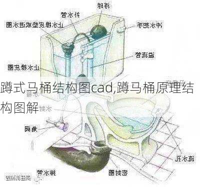 蹲式马桶结构图cad,蹲马桶原理结构图解