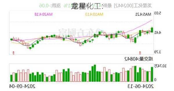 龙星化工:
章程