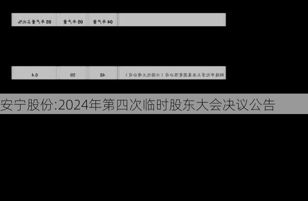 安宁股份:2024年第四次临时股东大会决议公告