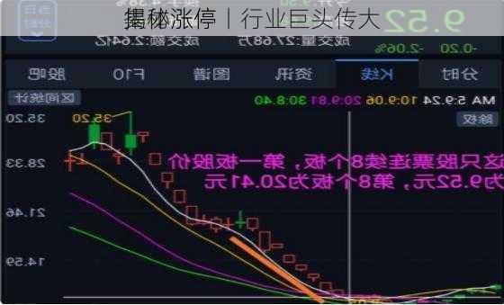 揭秘涨停丨行业巨头传大
，
集体涨停