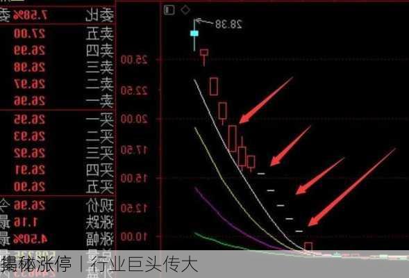 揭秘涨停丨行业巨头传大
，
集体涨停