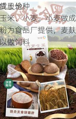 福成股份：
租赁土地种植玉米、小麦。小麦做成面粉为食品厂提供，麦麸可以做饲料