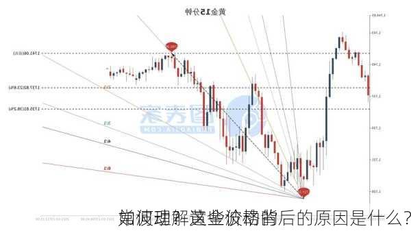 如何理解黄金价格的
常波动？这些波动背后的原因是什么？