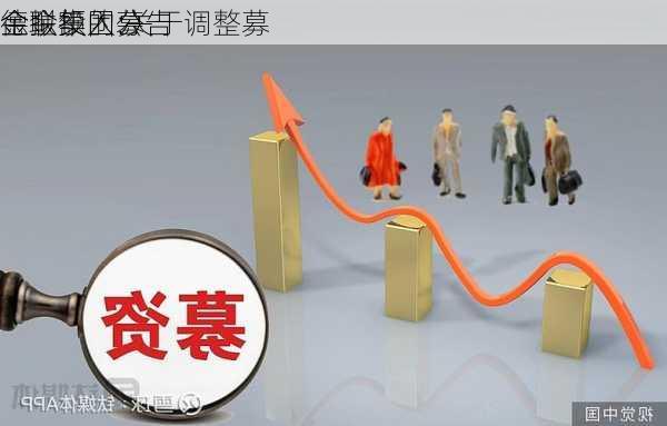 德联集团:关于调整募
金拟投入募
金金额的公告