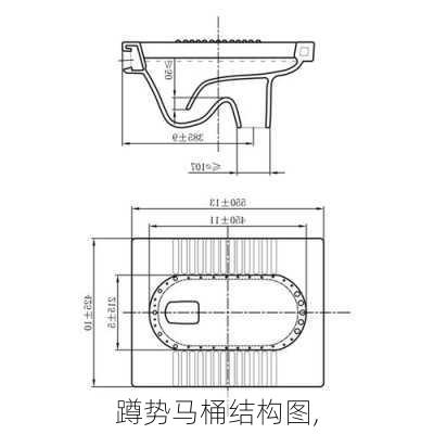 蹲势马桶结构图,