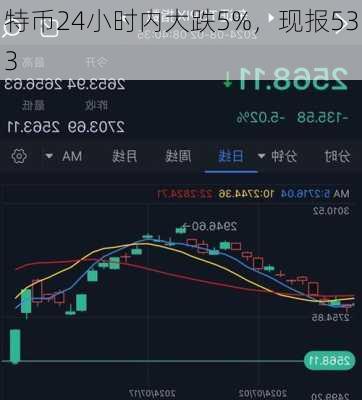 
特币24小时内大跌5%，现报533