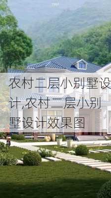 农村二层小别墅设计,农村二层小别墅设计效果图