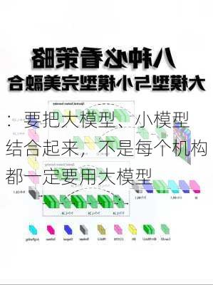 
：要把大模型、小模型结合起来，不是每个机构都一定要用大模型