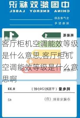 客厅柜机空调能效等级是什么意思,客厅柜机空调能效等级是什么意思啊