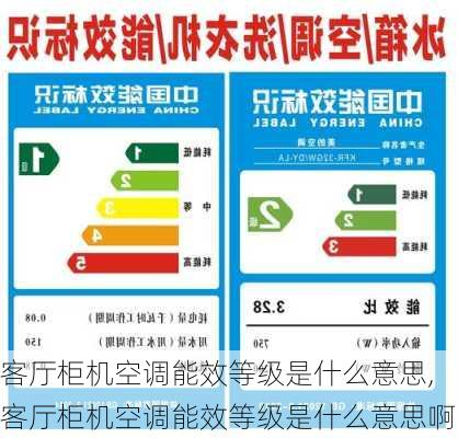 客厅柜机空调能效等级是什么意思,客厅柜机空调能效等级是什么意思啊