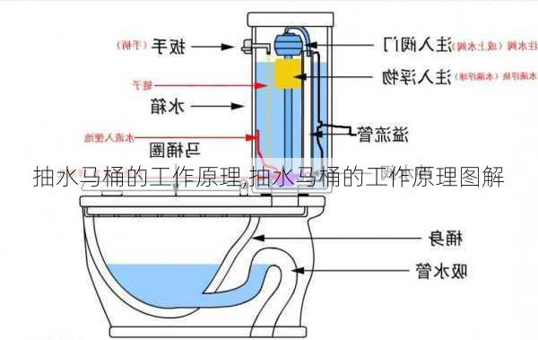 抽水马桶的工作原理,抽水马桶的工作原理图解