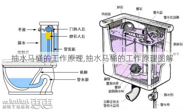 抽水马桶的工作原理,抽水马桶的工作原理图解