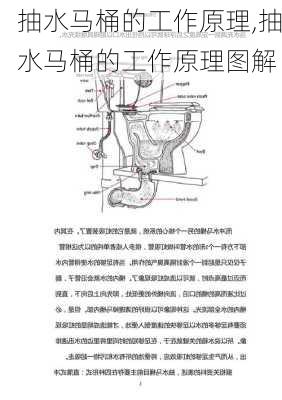 抽水马桶的工作原理,抽水马桶的工作原理图解