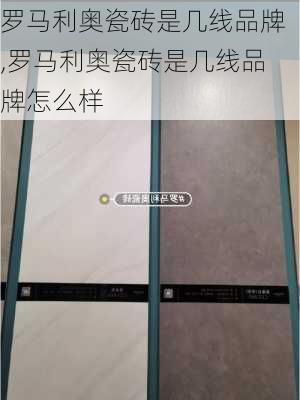 罗马利奥瓷砖是几线品牌,罗马利奥瓷砖是几线品牌怎么样