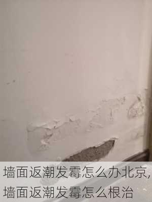 墙面返潮发霉怎么办北京,墙面返潮发霉怎么根治