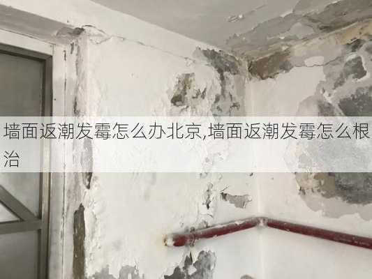 墙面返潮发霉怎么办北京,墙面返潮发霉怎么根治