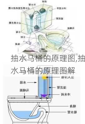 抽水马桶的原理图,抽水马桶的原理图解