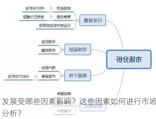 
发展受哪些因素影响？这些因素如何进行市场分析？