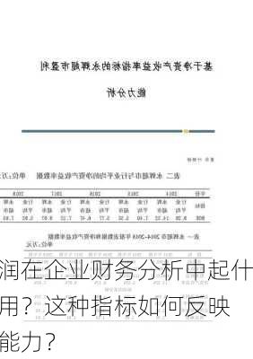 净利润在企业财务分析中起什么作用？这种指标如何反映
盈利能力？