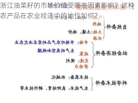 浙江油菜籽的市场价值受哪些因素影响？这种农产品在农业经济中的地位如何？