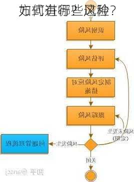 如何进行？这种
方式有哪些风险？