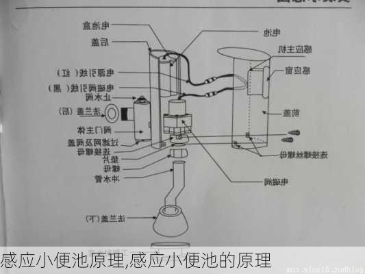 感应小便池原理,感应小便池的原理