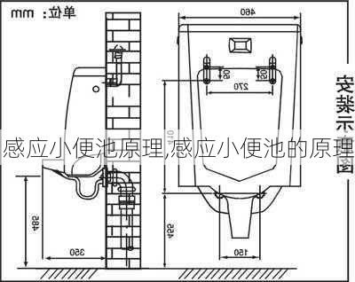 感应小便池原理,感应小便池的原理