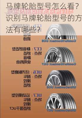 马牌轮胎型号怎么看？识别马牌轮胎型号的方法有哪些？