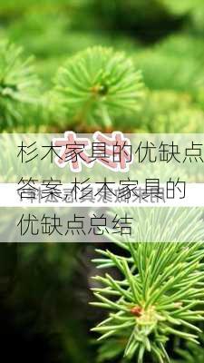 杉木家具的优缺点答案,杉木家具的优缺点总结