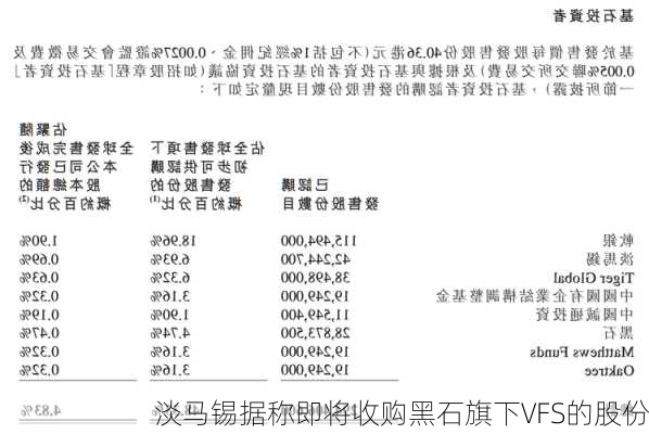 淡马锡据称即将收购黑石旗下VFS的股份