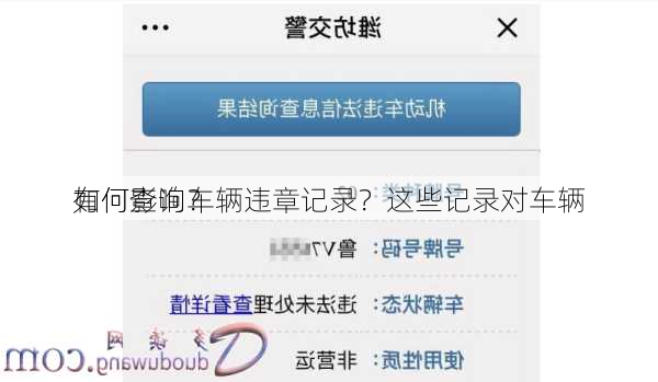 如何查询车辆违章记录？这些记录对车辆
有何影响？