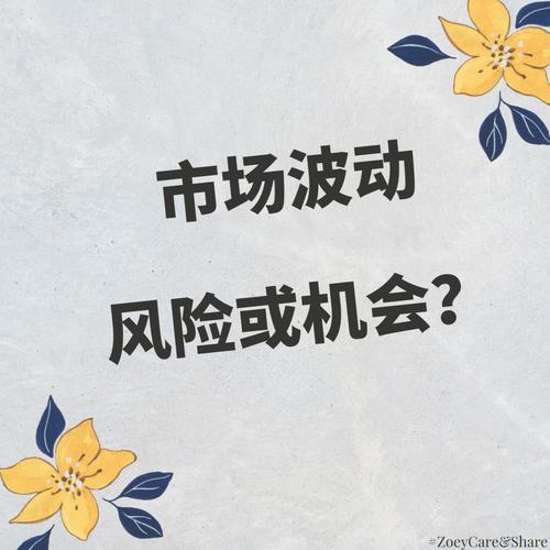 市场波动中如何把握机会？这些机会如何进行风险
？