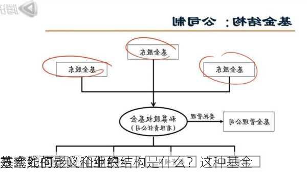 基金线的定义和组织结构是什么？这种基金
方式如何影响企业的
效率？