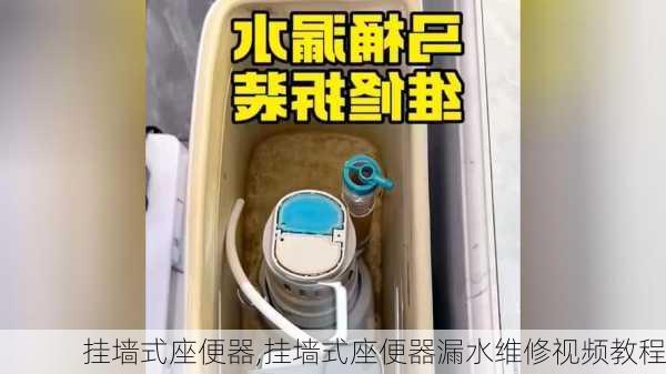 挂墙式座便器,挂墙式座便器漏水维修视频教程