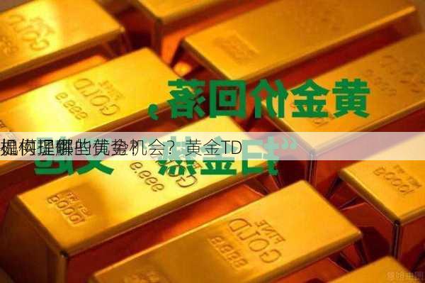 如何理解
机构提供的黄金机会？黄金TD
提供了哪些优势？