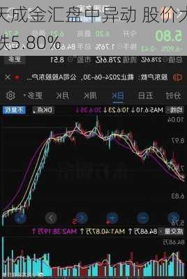 天成金汇盘中异动 股价大跌5.80%