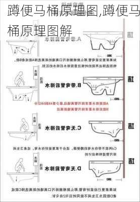 蹲便马桶原理图,蹲便马桶原理图解